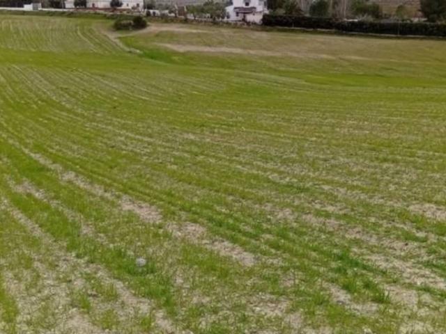 Terreno en venta en Comarca de la Vega de Granada, Andalucía