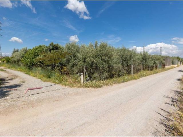 Terreno en venta en Comarca de la Vega de Granada, Andalucía