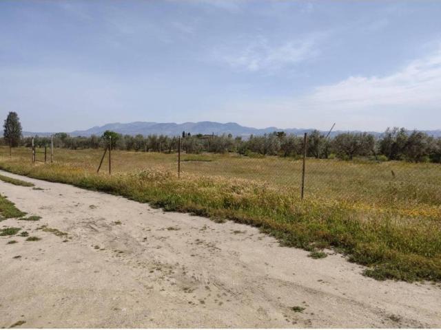 Terreno en venta en Comarca de la Vega de Granada, Andalucía