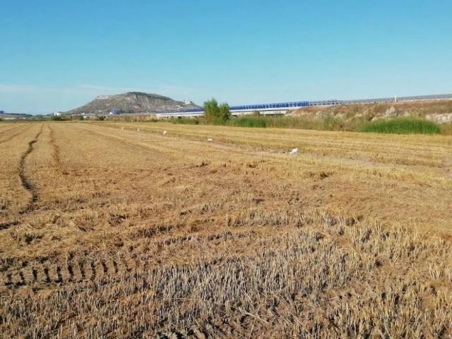 Terreno en venta en la Ribera Baixa, Valencia