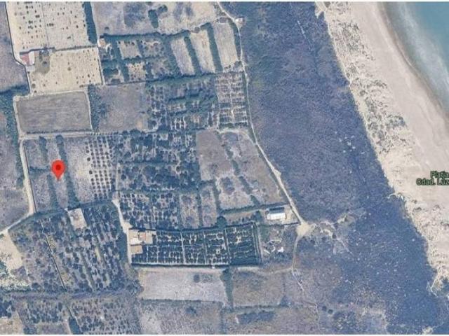 Terreno en venta en la Ribera Baixa, Valencia