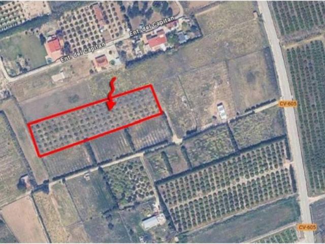 Terreno en venta en la Ribera Baixa, Valencia