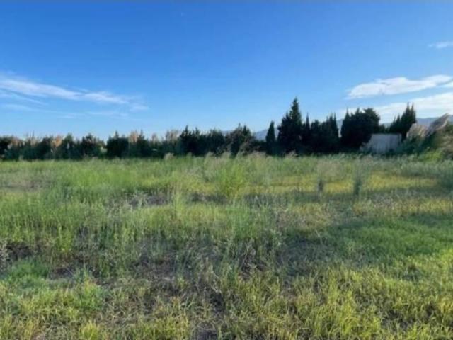 Terreno en venta en la Ribera Baixa, Valencia