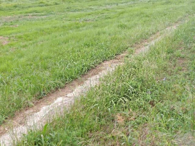 Terreno en venta en la Ribera Baixa, Valencia