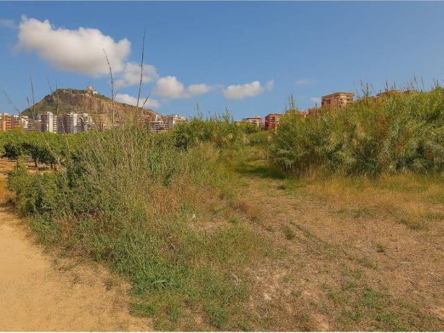 Terreno en venta en la Ribera Baixa, Valencia