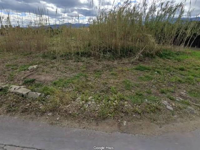 Terreno en venta en el Brosquil, la Ribera Baixa