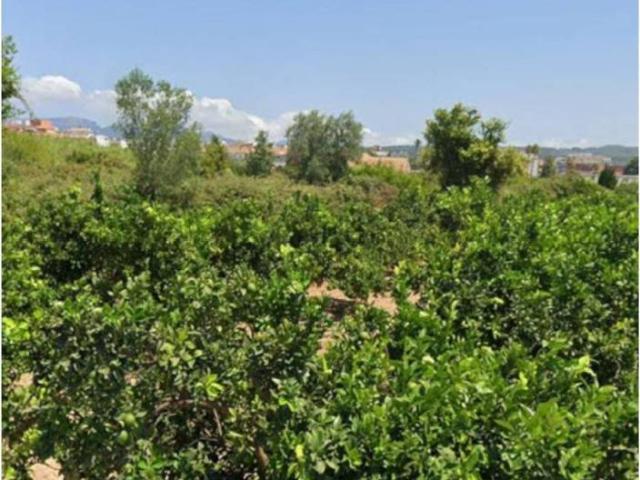Terreno en venta en la Ribera Baixa, Valencia