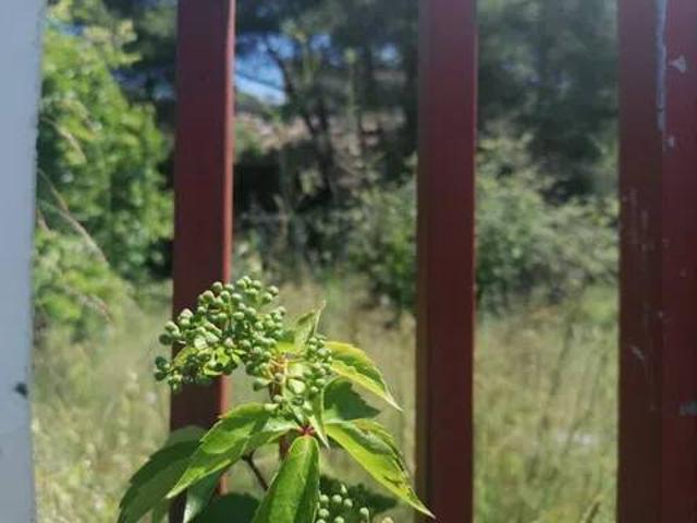 Terreno en venta en Baix Penedès, Catalunya