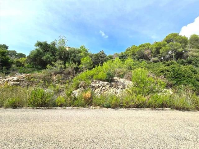 Terreno en venta en Baix Penedès, Catalunya