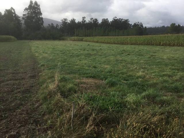 Terreno en venta en Caldas, Galicia