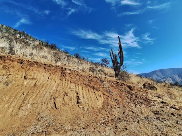 Terreno en Venta en Curacaví
