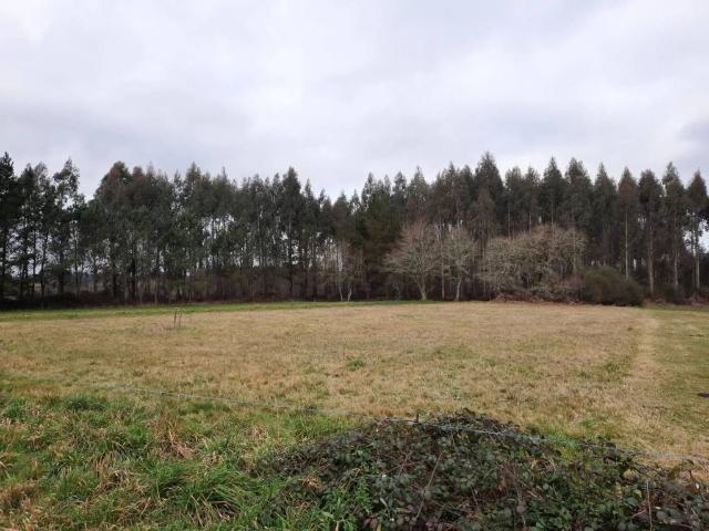 Terreno en venta en Curtis, Betanzos