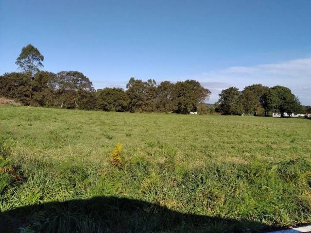 Terreno en venta en Curtis, A Raia