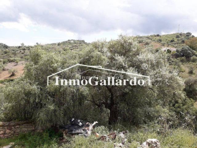 Terreno en venta en Cútar