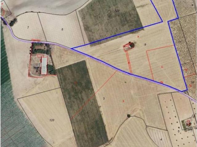 Terreno en venta en Daimiel, Castilla-La Mancha