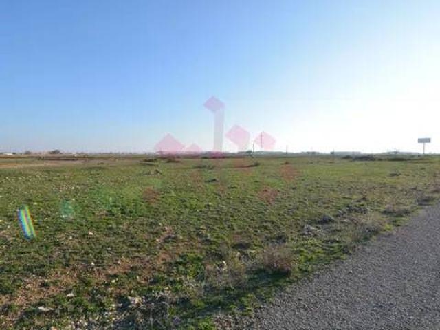 Terreno en venta en Daimiel, Castilla-La Mancha