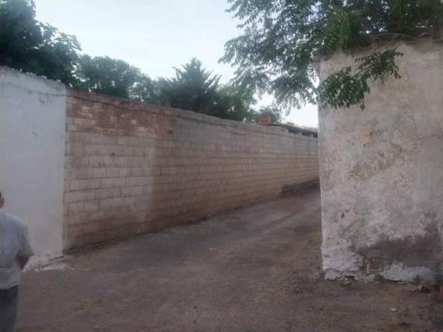 Terreno en venta en Daimiel, Castilla-La Mancha
