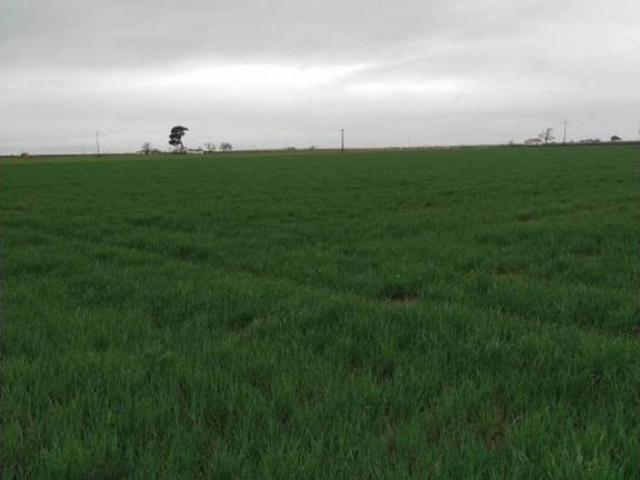Terreno en venta en Daimiel, Castilla-La Mancha