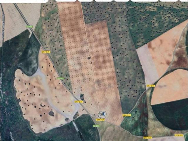 Terreno en venta en Daimiel, Castilla-La Mancha