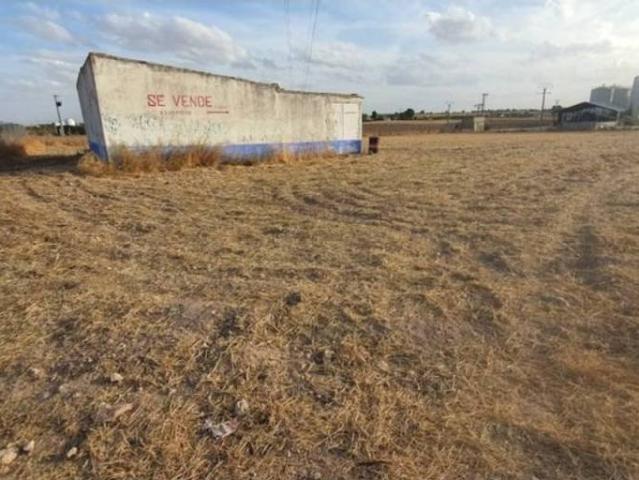 Terreno en venta en Daimiel, Castilla-La Mancha