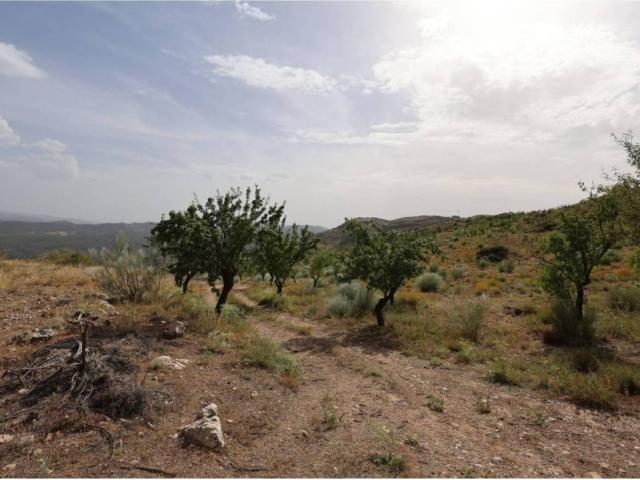 Terreno en venta en Comarca de Guadix, Andalucía