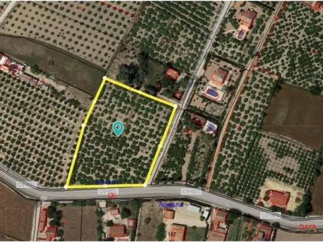 Terreno en venta en el Baix Segura / La Vega Baja, Valencia