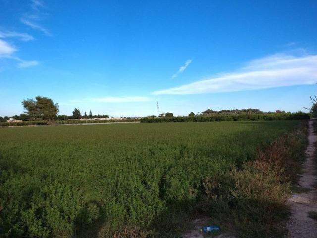 Terreno en venta en el Baix Segura / La Vega Baja, Valencia