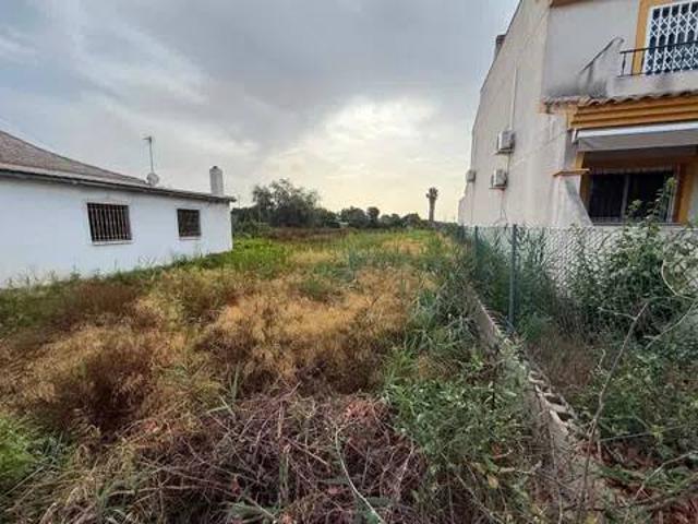 Terreno en venta en el Baix Segura / La Vega Baja, Valencia