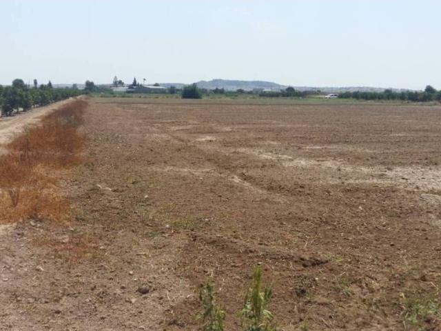 Terreno en venta en el Baix Segura / La Vega Baja, Valencia