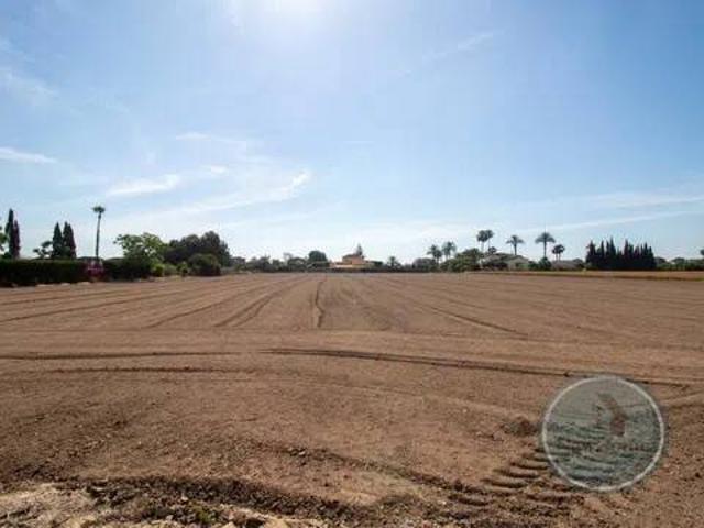 Terreno en venta en el Baix Segura / La Vega Baja, Valencia