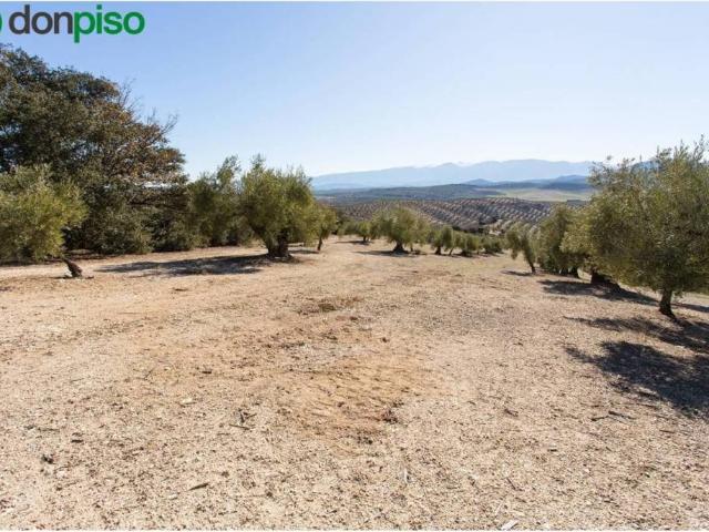 Terreno en venta en Comarca de Los Montes, Andalucía