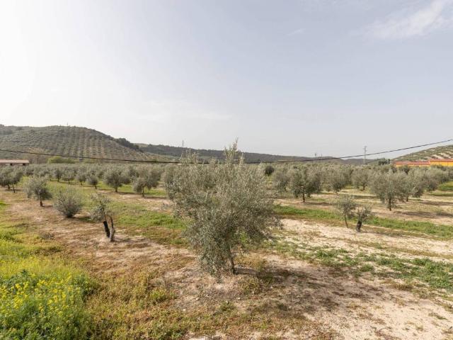 Terreno en venta en Deifontes