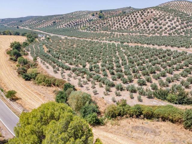Terreno en venta en Comarca de Los Montes, Andalucía
