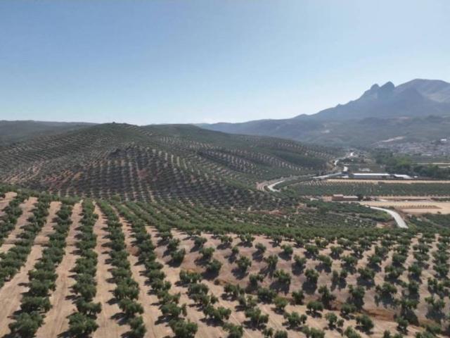 Terreno en venta en Deifontes, Granada