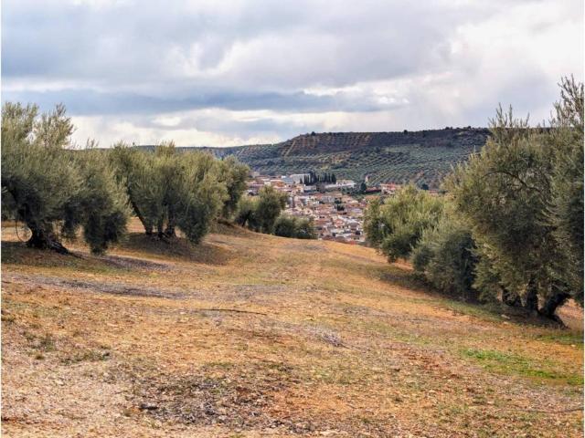Terreno en venta en Comarca de Los Montes, Andalucía