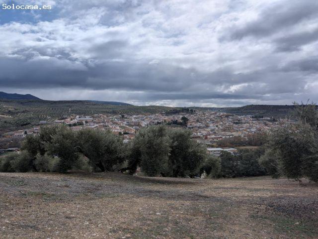 Local Comercial en venta en Deifontes