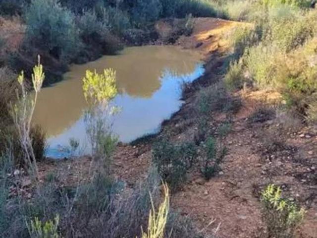 Terreno en venta en Deleitosa, Extremadura