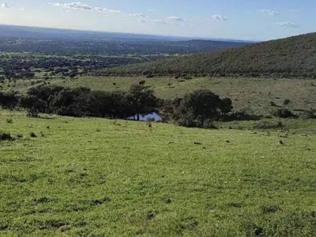 Terreno en venta en Deleitosa, Extremadura