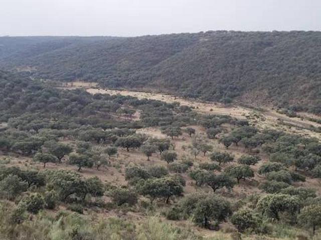 Terreno en venta en Deleitosa, Extremadura