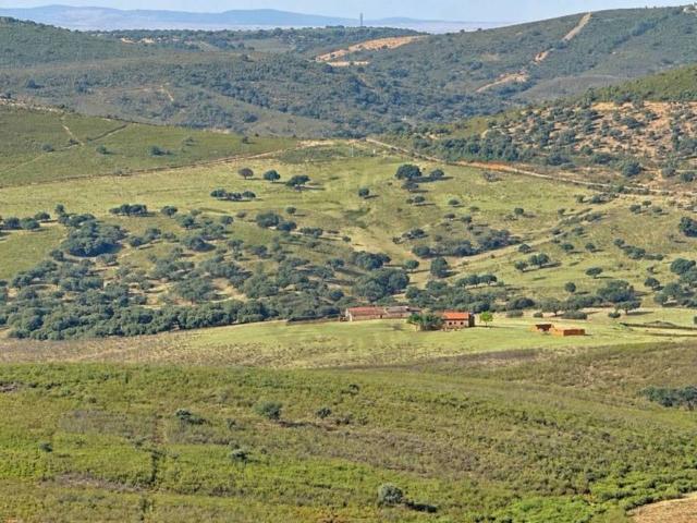 Terreno en venta en Verezales de Zamarrilla, Deleitosa