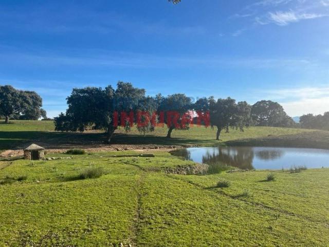 Terreno en venta en Deleitosa, Extremadura