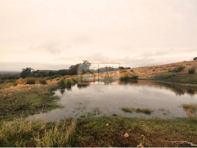 Terreno en venta en Deleitosa, Extremadura