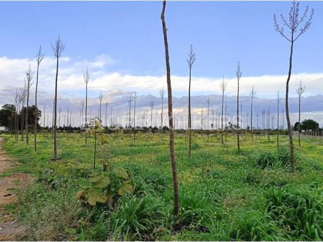 Terreno en venta en la Marina Alta, Valencia