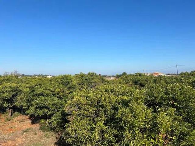 Terreno en venta en la Marina Alta, Valencia