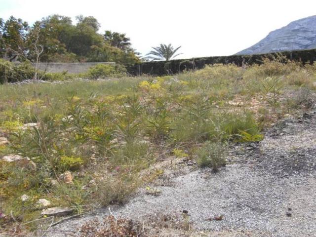 Terreno en venta en Dénia, Alacant / Alicante