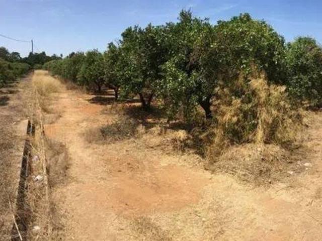 Terreno en venta en Dénia, Alacant / Alicante