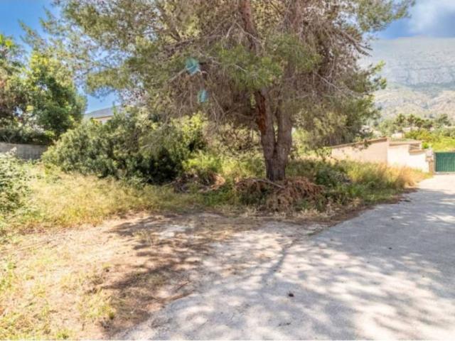 Terreno en venta en la Marina Alta, Valencia