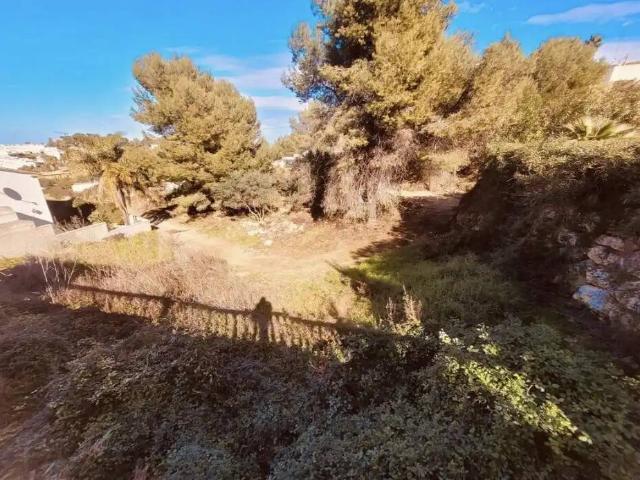 Terreno en venta en la Marina Alta, Valencia