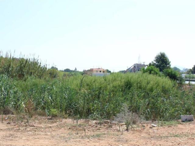 Terreno en venta en la Marina Alta, Valencia