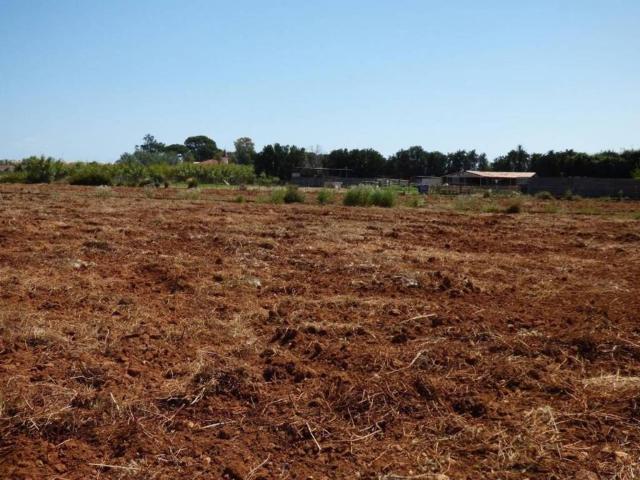 Terreno en venta en la Pedrera, la Marina Alta
